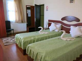 Мотели Cabana Deltei Şagu Двухместный номер с 2 отдельными кроватями-3