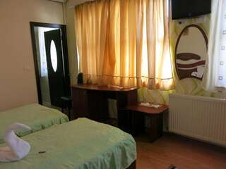 Мотели Cabana Deltei Şagu Двухместный номер с 2 отдельными кроватями-5