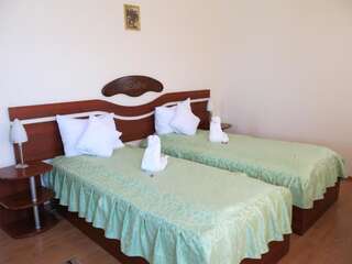 Мотели Cabana Deltei Şagu Двухместный номер с 2 отдельными кроватями-2